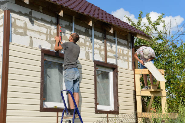 Best Siding Maintenance  in Reese, MI