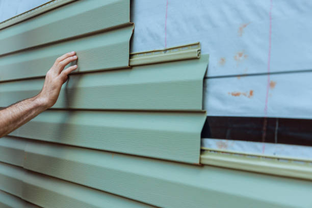 Best Siding Removal and Disposal  in Reese, MI